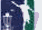  Professional Disc Golf Association WebSite 